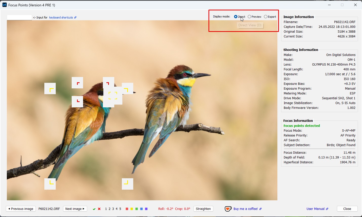 Direct View on Windows